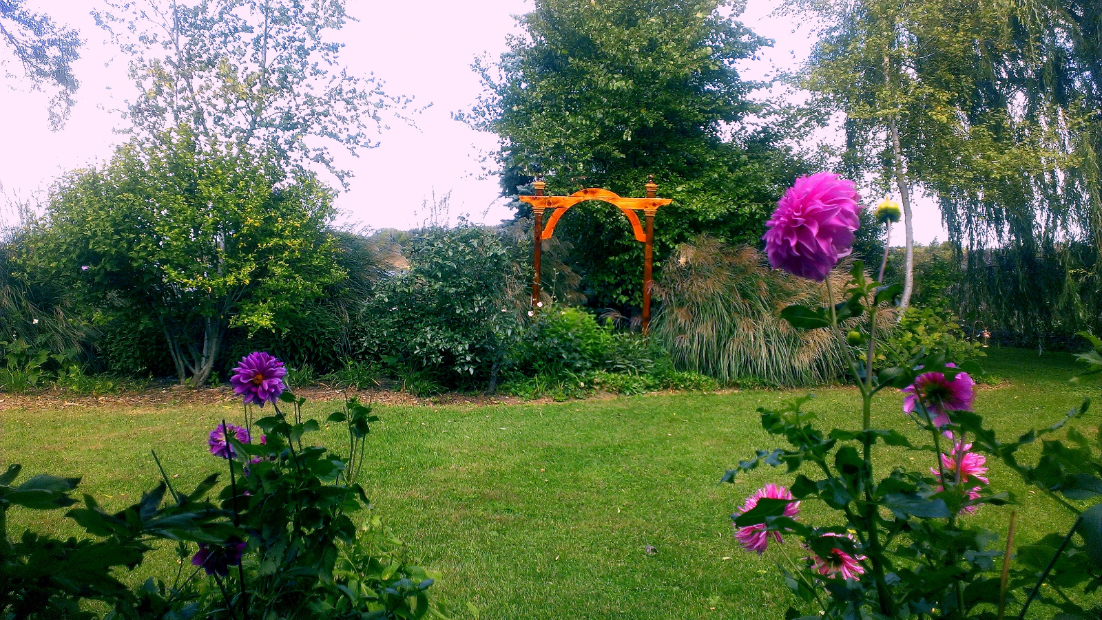 Looking through from under the Flowering Gazebo